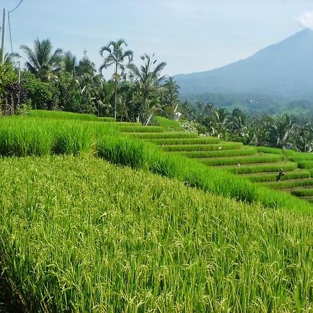 Zen Rooms Badung Nyangnyang Sari Kuta Lombok Extérieur photo