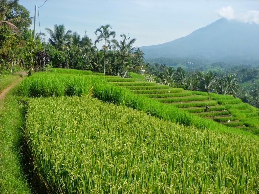 Zen Rooms Badung Nyangnyang Sari Kuta Lombok Extérieur photo